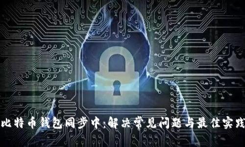 比特币钱包同步中：解决常见问题与最佳实践