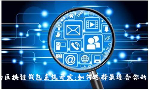 效果好的区块链钱包系统开发：如何选择最适合你的钱包方案