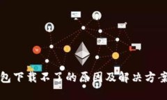 TP钱包下载不了的原因及解