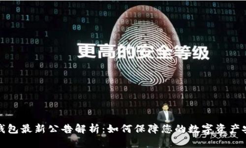 TP钱包最新公告解析：如何保障您的数字资产安全