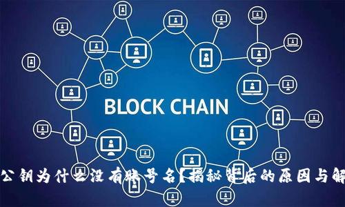 TP钱包公钥为什么没有账号名？揭秘背后的原因与解决方案