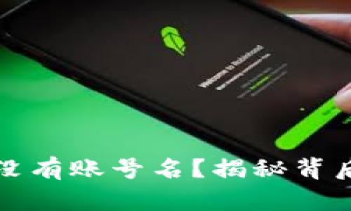 TP钱包公钥为什么没有账号名？揭秘背后的原因与解决方案