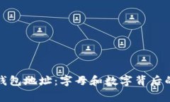揭秘比特币钱包地址：字