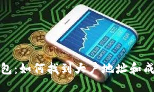 探秘TP钱包：如何找到大户地址和成功的秘诀