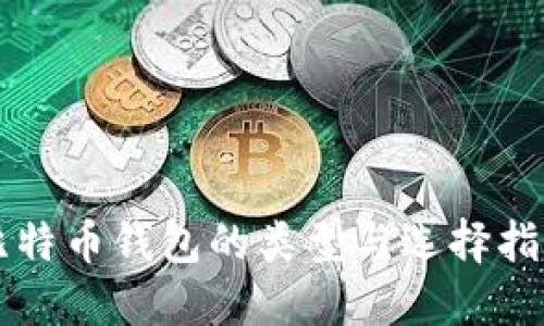 比特币钱包的类型与选择指南