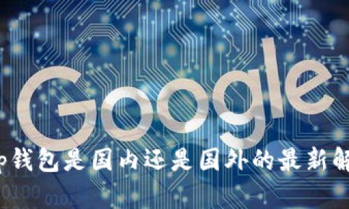 t p钱包是国内还是国外的最新解读