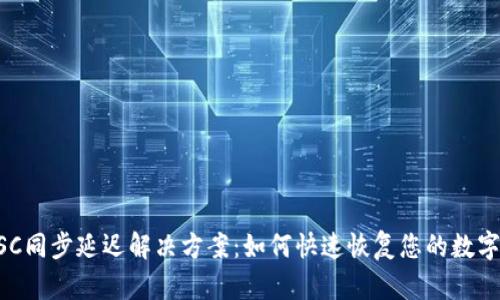 TP钱包BSC同步延迟解决方案：如何快速恢复您的数字资产交易