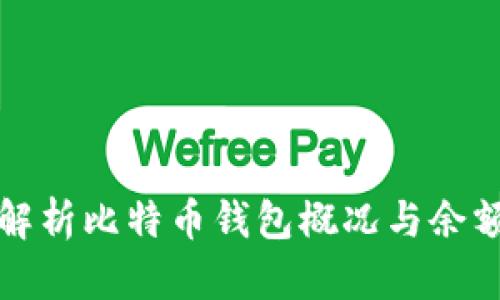 全面解析比特币钱包概况与余额管理