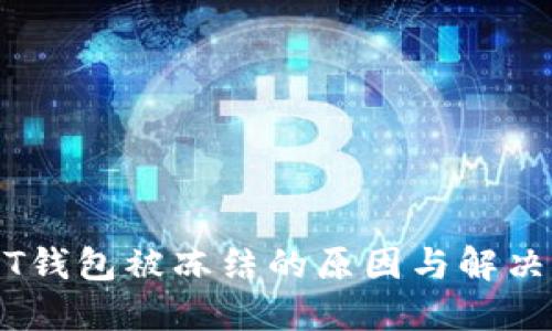 USDT钱包被冻结的原因与解决方法