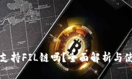 TP钱包支持FIL链吗？全面解析与使用指南