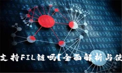 TP钱包支持FIL链吗？全面解析与使用指南