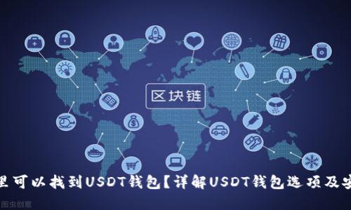 在哪里可以找到USDT钱包？详解USDT钱包选项及安全性