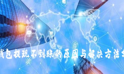 TP钱包提现不到账的原因与解决方法分析