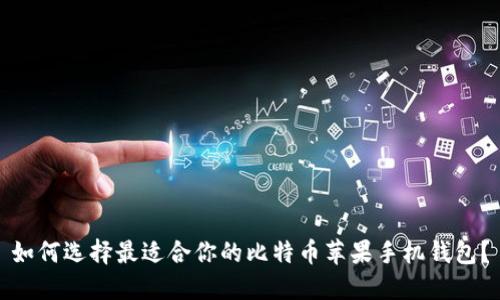 如何选择最适合你的比特币苹果手机钱包？