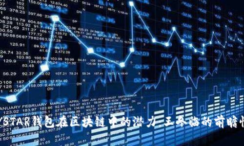 探索YSTAR钱包在区块链中的潜力：王冬临的前瞻性视角
