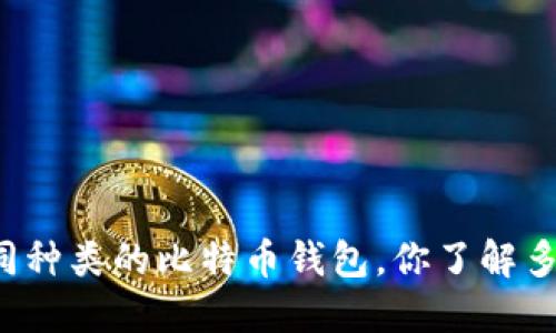 不同种类的比特币钱包，你了解多少？