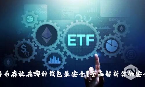 : 比特币存放在哪种钱包最安全？全面解析你的安全选择