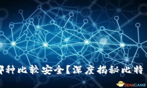 比特币钱包用哪种比较安全？深度揭秘比特币钱包的安全性