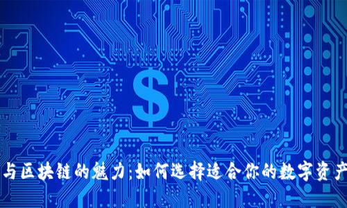掌握钱包与区块链的魅力：如何选择适合你的数字资产管理工具
