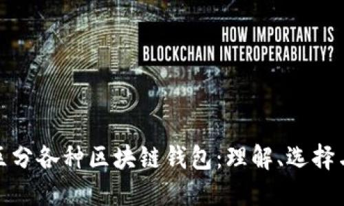 如何区分各种区块链钱包：理解、选择与安全