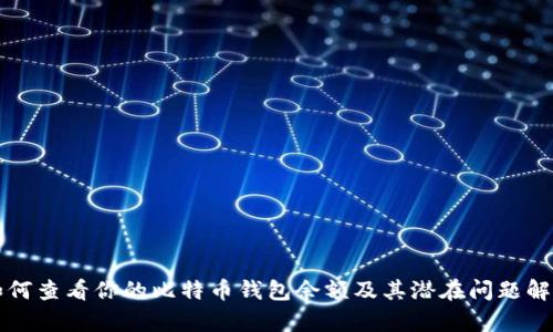 如何查看你的比特币钱包余额及其潜在问题解析