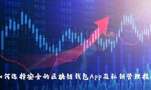 如何选择安全的区块链钱包App及私钥管理指南