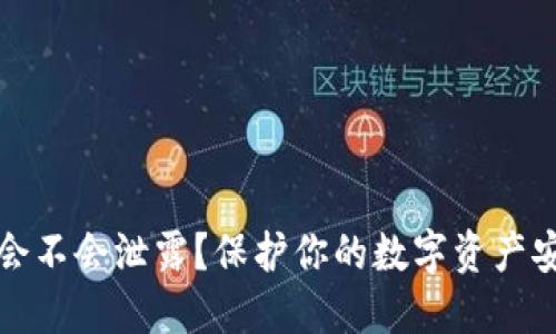 TP钱包的私钥会不会泄露？保护你的数字资产安全的全面指南