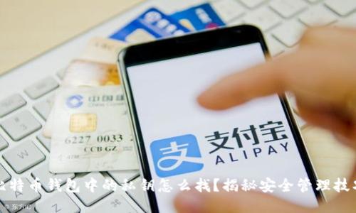 比特币钱包中的私钥怎么找？揭秘安全管理技巧