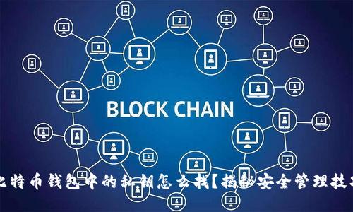比特币钱包中的私钥怎么找？揭秘安全管理技巧