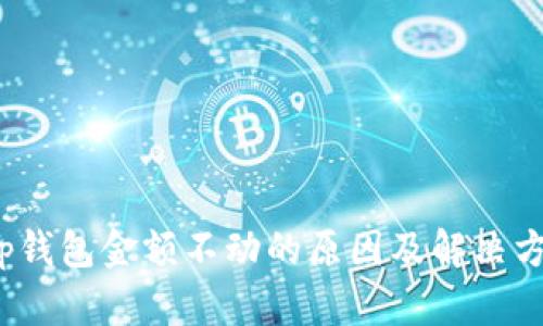 t p钱包金额不动的原因及解决方案