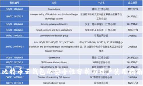 比特币云钱包的安全性分析与用户使用指南