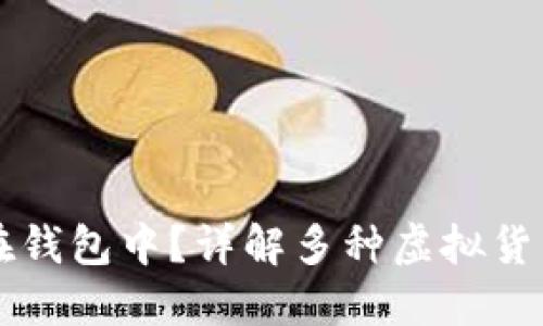 虚拟币如何安全放置在钱包中？详解多种虚拟货币钱包选择及使用技巧