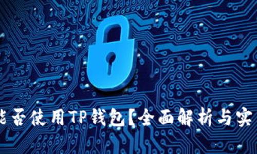 印度能否使用TP钱包？全面解析与实用指南