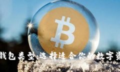揭秘比特币钱包类型：选