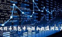 揭秘比特币钱包中的随机