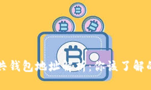 区块链公共钱包地址解析：你该了解的所有信息