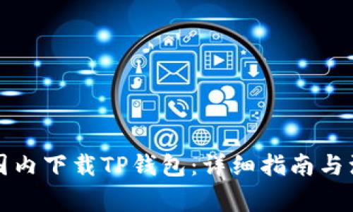 如何在国内下载TP钱包：详细指南与注意事项