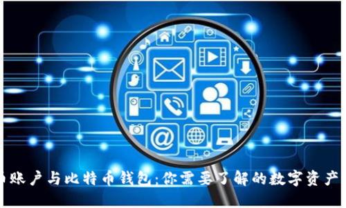 货币账户与比特币钱包：你需要了解的数字资产管理