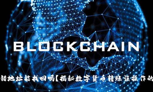 TP钱包转错地址能找回吗？揭秘数字货币转账误操作的应对策略