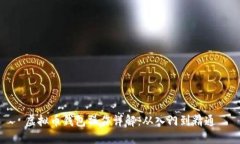 虚拟币钱包操作详解：从