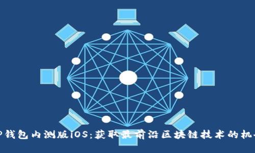 tP钱包内测版iOS：获取最前沿区块链技术的机会