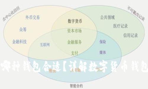 买了比特币放哪种钱包合适？详解数字货币钱包的选择与使用