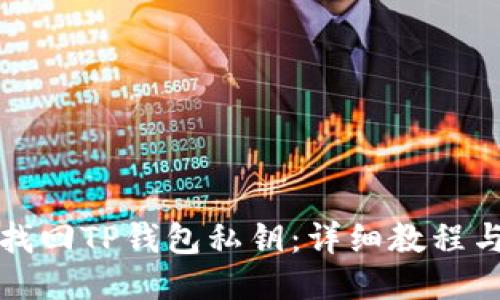 如何找回TP钱包私钥：详细教程与技巧