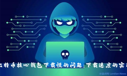 解决比特币核心钱包下载慢的问题：下载速度的实用技巧