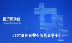 USDT提取到哪个钱包更安全