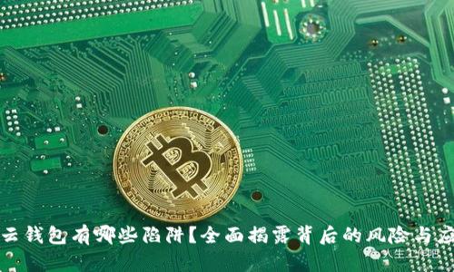 比特币云钱包有哪些陷阱？全面揭露背后的风险与应对策略