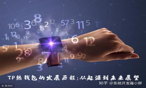 TP热钱包的发展历程：从起源到未来展望