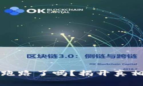 TP钱包跑路了吗？揭开真相的背后