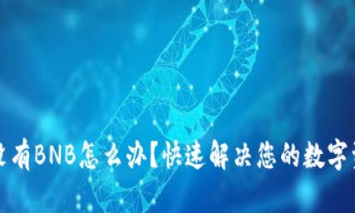TP钱包没有BNB怎么办？快速解决您的数字资产问题