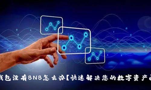 TP钱包没有BNB怎么办？快速解决您的数字资产问题